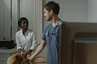 À propos