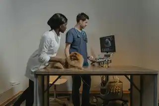 Daniel Portfolio 3